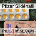 Pfizer Sildénafil 41